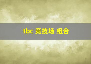 tbc 竞技场 组合